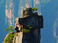 ʯ������